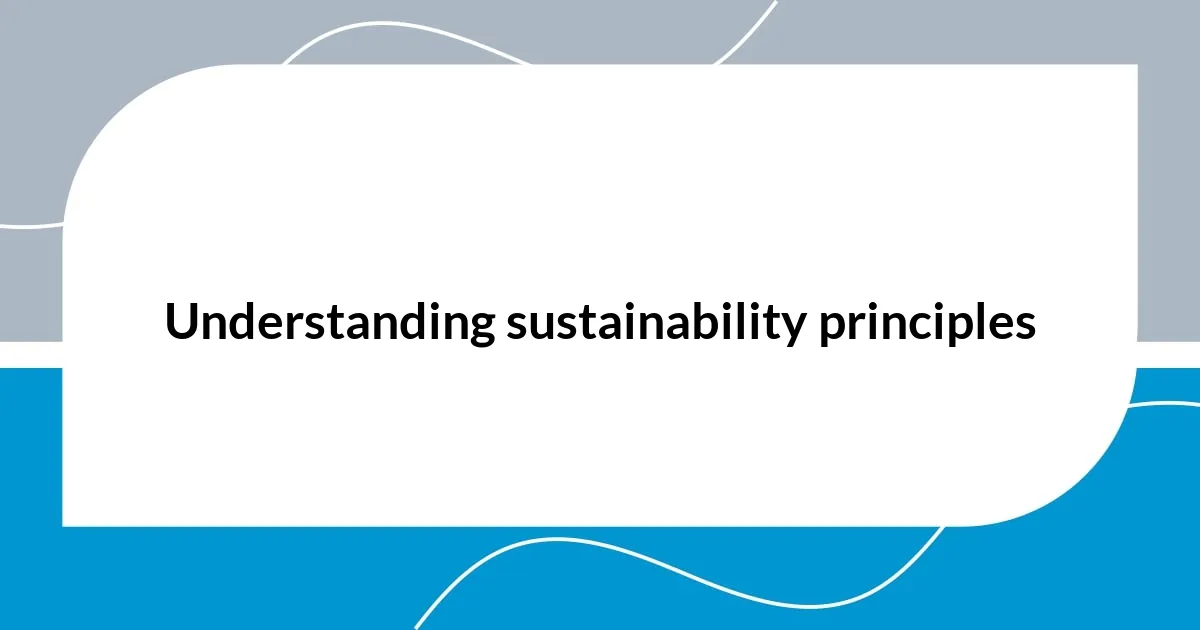 Understanding sustainability principles